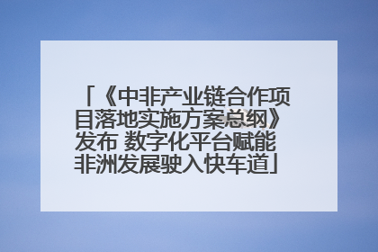 《中非产业链合作项目落地实施方案总纲》发布 数字化平台赋能非洲发展驶入快车道