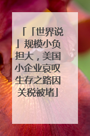 「世界说」规模小负担大，美国小企业哀叹生存之路因关税被堵