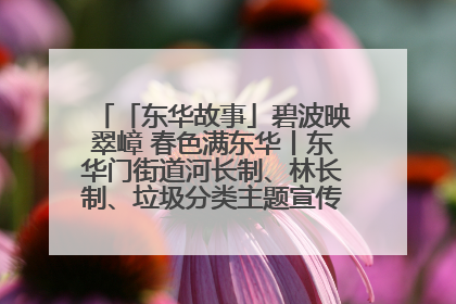 「东华故事」碧波映翠嶂 春色满东华丨东华门街道河长制、林长制、垃圾分类主题宣传如火如荼中