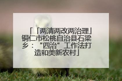 「两清两改两治理」铜仁市松桃自治县石梁乡：“四治”工作法打造和美新农村