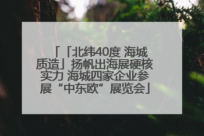 「北纬40度 海城质造」扬帆出海展硬核实力 海城四家企业参展“中东欧”展览会