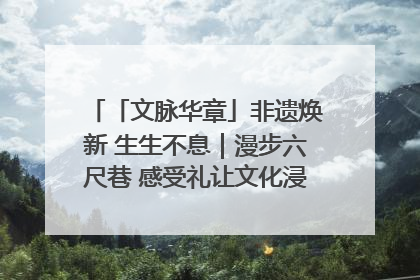 「文脉华章」非遗焕新 生生不息｜漫步六尺巷 感受礼让文化浸润的“巷”往生活