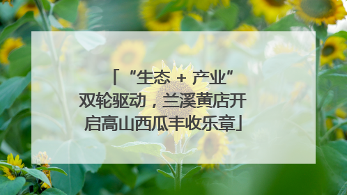 “生态 + 产业”双轮驱动，兰溪黄店开启高山西瓜丰收乐章