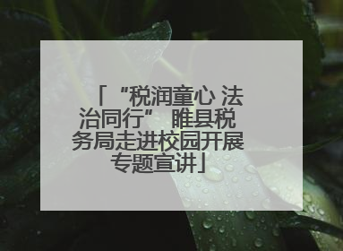 “税润童心 法治同行” 睢县税务局走进校园开展专题宣讲
