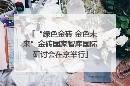 “绿色金砖 金色未来”金砖国家智库国际研讨会在京举行