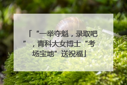 “一举夺魁，录取吧”，青科大女博士“考场宝地”送祝福