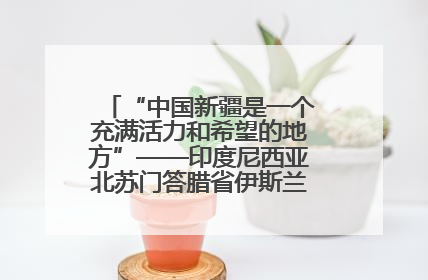 “中国新疆是一个充满活力和希望的地方”——印度尼西亚北苏门答腊省伊斯兰教代表团参访新疆
