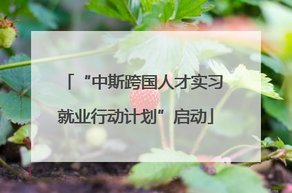 “中斯跨国人才实习就业行动计划”启动