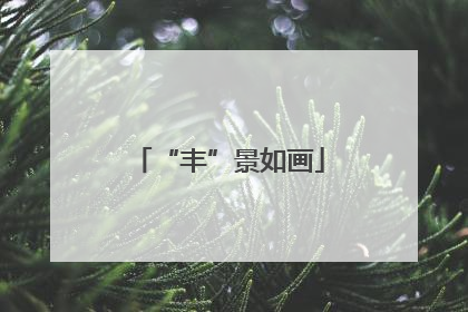 “丰”景如画