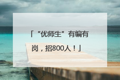“优师生”有编有岗，招800人！