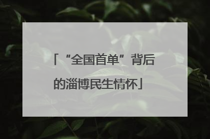 “全国首单”背后的淄博民生情怀
