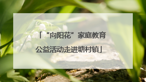 “向阳花”家庭教育公益活动走进塘村镇