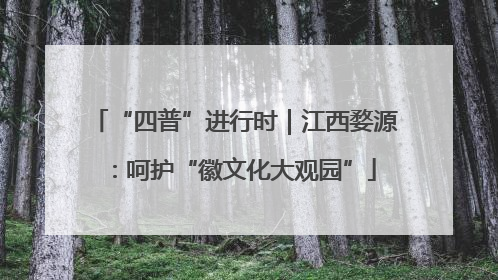 “四普”进行时｜江西婺源：呵护“徽文化大观园”
