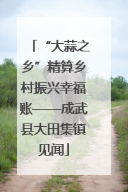 “大蒜之乡”精算乡村振兴幸福账——成武县大田集镇见闻