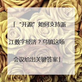 “开源”如何支持浙江数字经济？乌镇这场会议给出关键答案