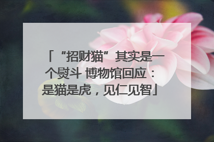 “招财猫”其实是一个熨斗 博物馆回应：是猫是虎，见仁见智