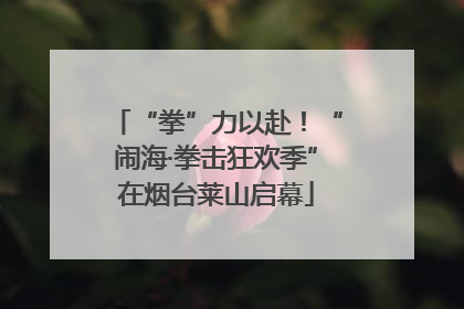 “拳”力以赴！“闹海·拳击狂欢季”在烟台莱山启幕