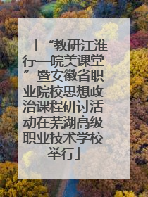 “教研江淮行—皖美课堂”暨安徽省职业院校思想政治课程研讨活动在芜湖高级职业技术学校举行