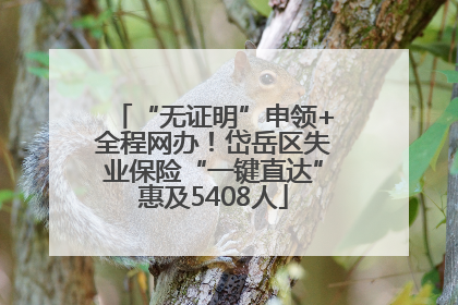 “无证明”申领+全程网办！岱岳区失业保险“一键直达”惠及5408人