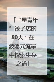 “星青年”饺子店的80天：在波浪式流量中探索生存之道