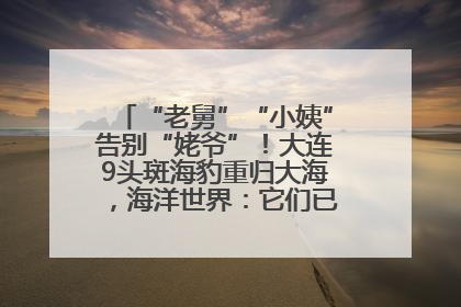 “老舅”“小姨”告别“姥爷”！大连9头斑海豹重归大海，海洋世界：它们已具备野外生存能力