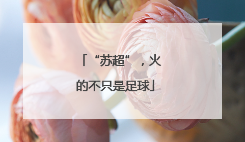 “苏超”，火的不只是足球