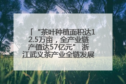 “茶叶种植面积达12.5万亩，全产业链产值达57亿元” 浙江武义茶产业全链发展“加速度”