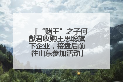 “赌王”之子何猷君收购王思聪旗下企业，接盘后前往山东参加活动