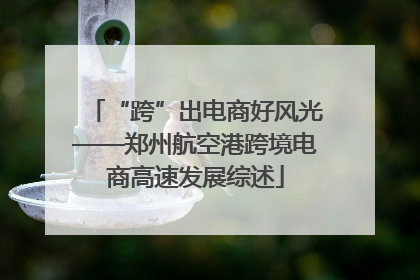 “跨”出电商好风光——郑州航空港跨境电商高速发展综述