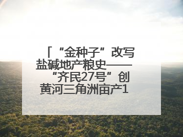 “金种子”改写盐碱地产粮史——“齐民27号”创黄河三角洲亩产1200斤奇迹