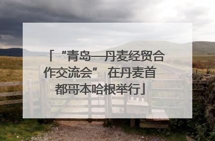 “青岛—丹麦经贸合作交流会” 在丹麦首都哥本哈根举行