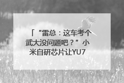 “雷总：这车考个武大没问题吧？”小米自研芯片让YU7会学习｜汽车科技