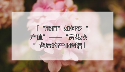 “颜值”如何变“产值”——“赏花热”背后的产业图谱
