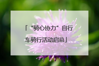 “骑心协力”自行车骑行活动启幕