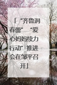 “齐鲁润春蕾”“爱心妈妈续力行动”推进会在邹平召开