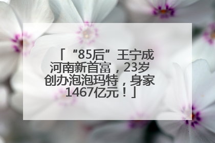 “85后”王宁成河南新首富，23岁创办泡泡玛特，身家1467亿元！