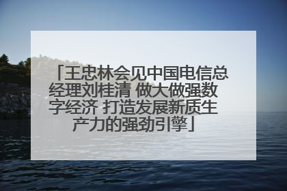 王忠林会见中国电信总经理刘桂清 做大做强数字经济 打造发展新质生产力的强劲引擎