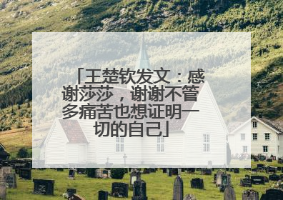 王楚钦发文：感谢莎莎，谢谢不管多痛苦也想证明一切的自己