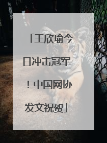 王欣瑜今日冲击冠军！中国网协发文祝贺