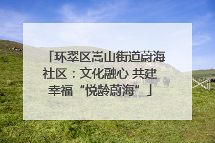 环翠区嵩山街道蔚海社区：文化融心 共建幸福“悦龄蔚海”