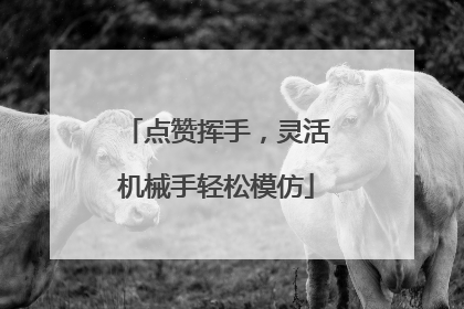 点赞挥手，灵活机械手轻松模仿