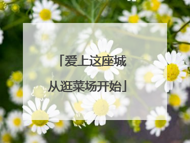 爱上这座城 从逛菜场开始
