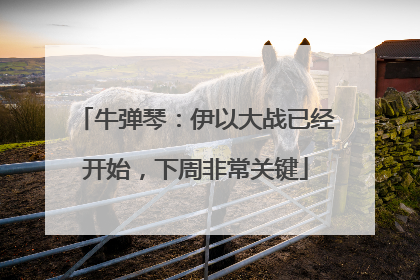 牛弹琴：伊以大战已经开始，下周非常关键