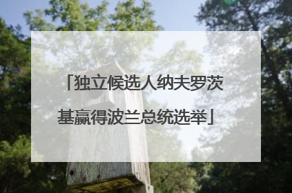 独立候选人纳夫罗茨基赢得波兰总统选举