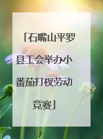 石嘴山平罗县工会举办小番茄打杈劳动竞赛