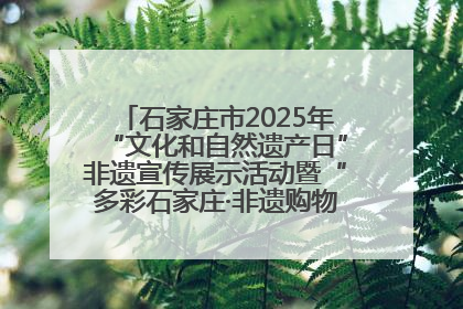 石家庄市2025年“文化和自然遗产日”非遗宣传展示活动暨“多彩石家庄·非遗购物节”倒计时1天