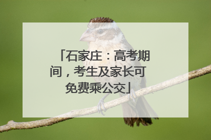 石家庄：高考期间，考生及家长可免费乘公交