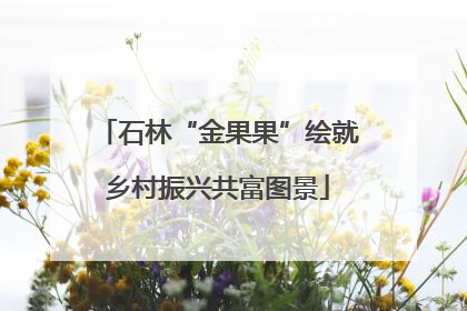 石林“金果果”绘就乡村振兴共富图景