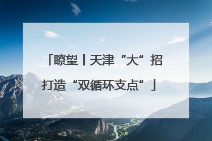 瞭望丨天津“大”招打造“双循环支点”