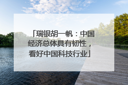 瑞银胡一帆：中国经济总体具有韧性，看好中国科技行业